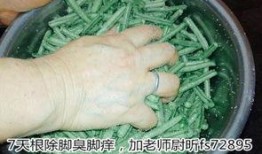 网友爆料酸豆角视频,网友热议传统美食魅力