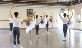 男生爆料芭蕾舞校长视频,芭蕾舞校长视频引发热议，男生爆料背后真相